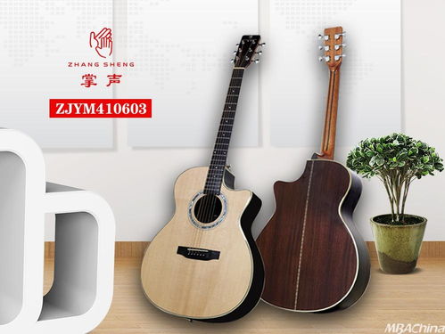 掌聲音樂器 以品牌戰略驅動，布局千萬級市場新藍圖